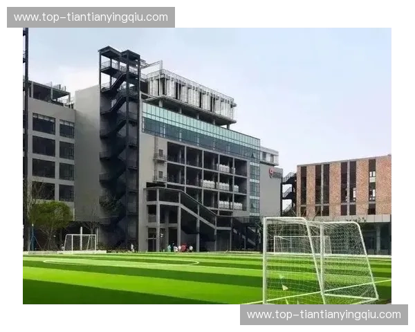 探秘“凯云体育中心入口”：迈入运动与活力的新天地